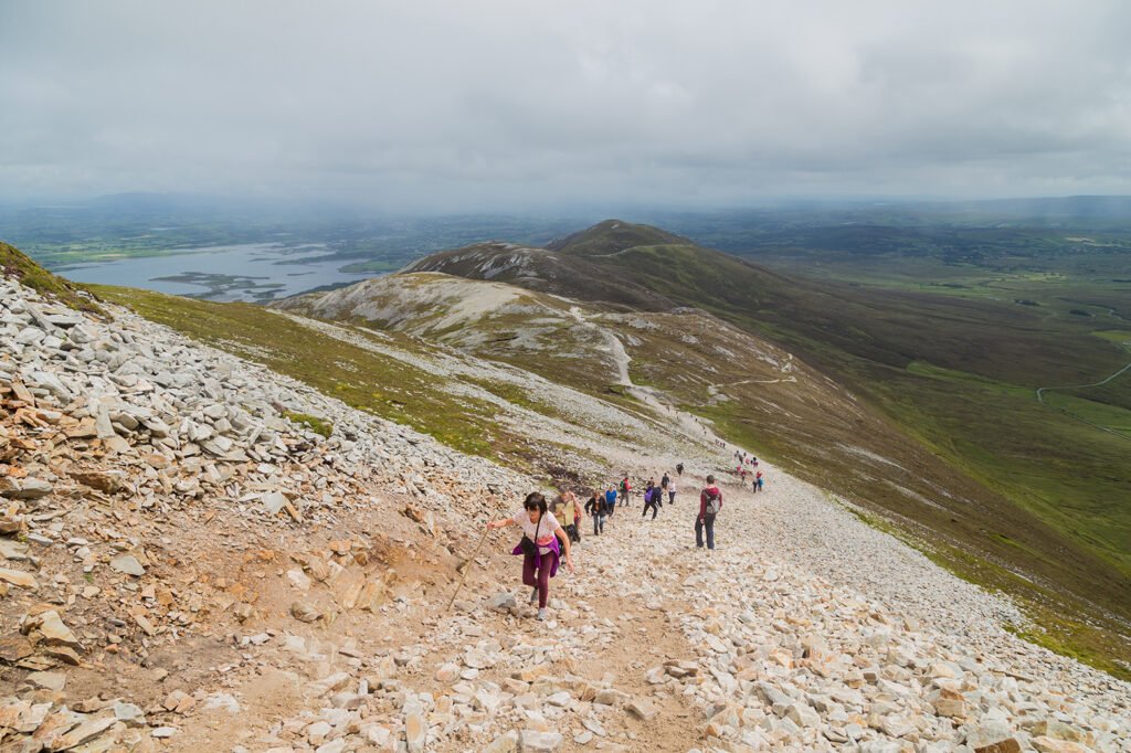 Trail, Rocks and vegetation at Croagh Patrick mountain with Westport in background, Westport, Ireland